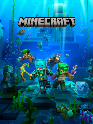 service minecraft hosting